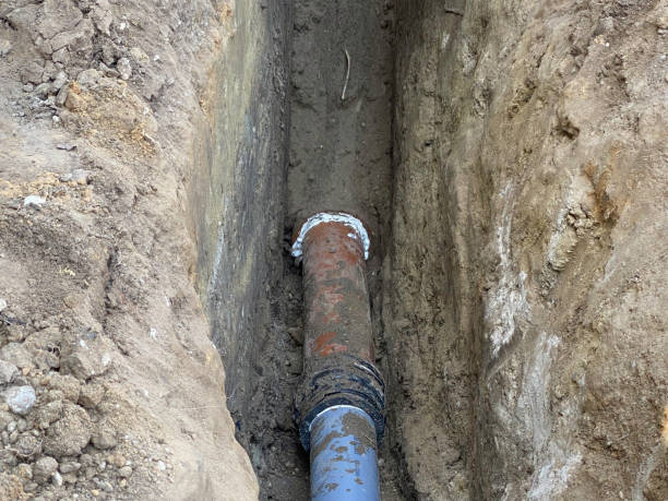 Best Local water damage restoration  in Ivyland, PA