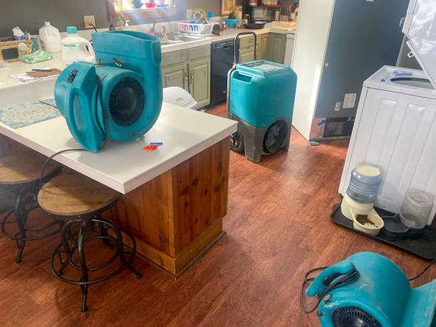 Best Local water damage restoration  in Ivyland, PA