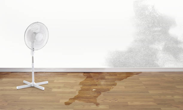 Best Water damage restoration services  in Ivyland, PA