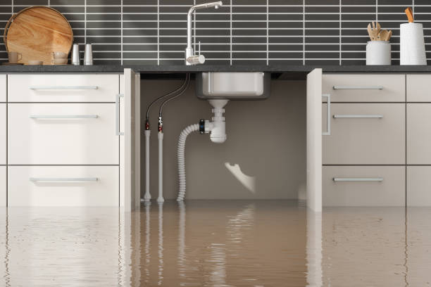 Best Basement water damage restoration  in Ivyland, PA