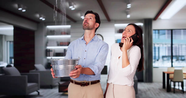 Best Flood damage cleanup  in Ivyland, PA