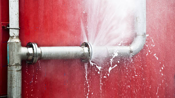 Best Flooded house restoration  in Ivyland, PA